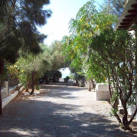 Oasis Studios Psili Ammos  Bagian luar foto