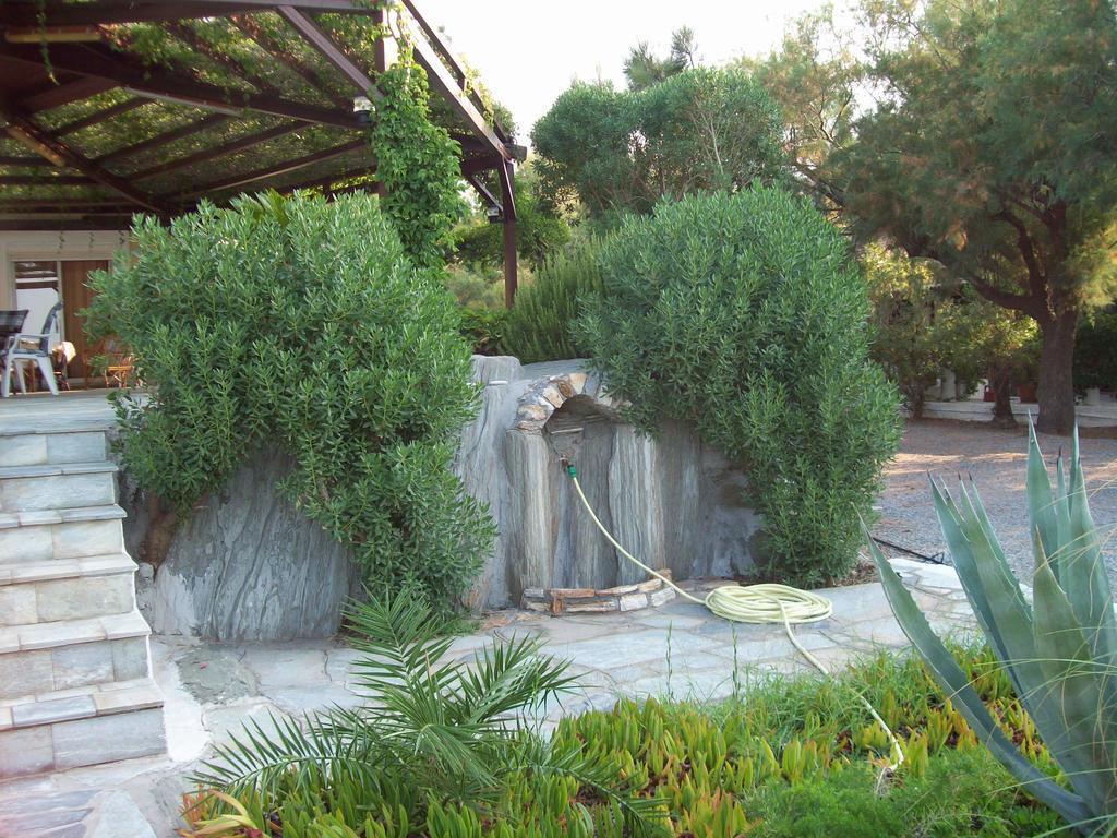 Oasis Studios Psili Ammos  Bagian luar foto