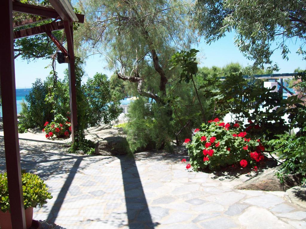 Oasis Studios Psili Ammos  Bagian luar foto